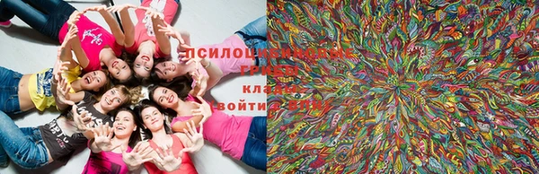 PSILOCYBIN Абинск