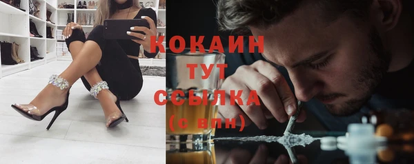 спиды Алзамай